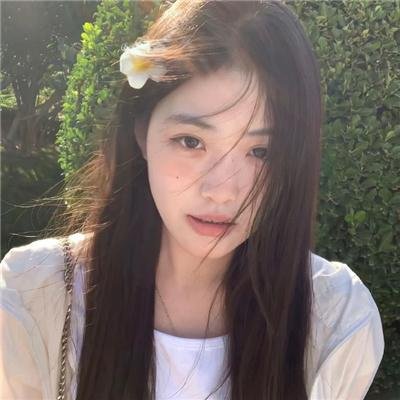 紫禁秘录